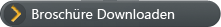 Brosch&uuml;re downloaden